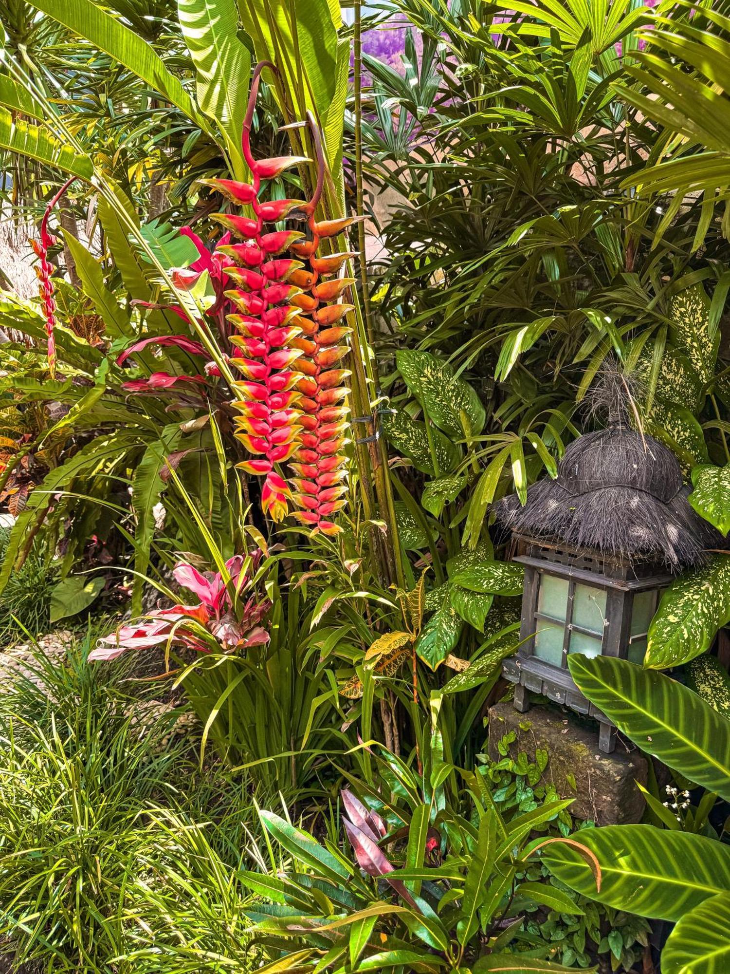 Bali Maison Ubud Buitenkant foto